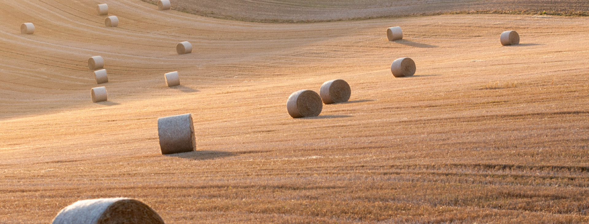 south downs martin thomas flikcr2000x800