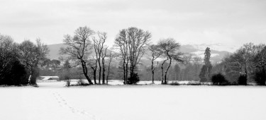 Winter UK rural landscape